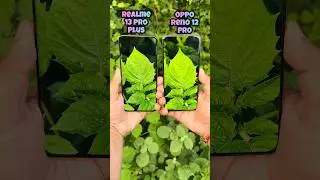 Realme 13 Pro Plus vs Oppo Reno 12 Pro Camera Test #shorts