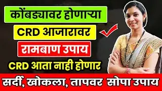 C.R.D चे कोंबड्यावरील लक्षण, कारण, आणि औषध सोबतच घरगुती 100 % उपाय  Treatment Of CRD in Desi Poultry