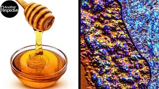 Honey under the Microscope (I could not believe it!)