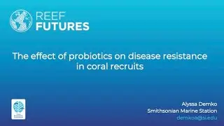 The effect of probiotics on disease resistance in coral recruits