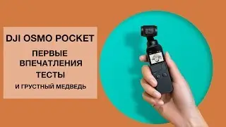 DJI OSMO POCKET. Первые впечатления и грустный медведь.