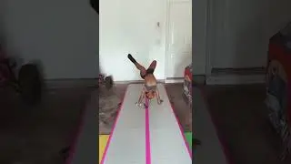Practice Makes Perfect 👍🏽 #shorts #gymnast #gymnastics #danceislife