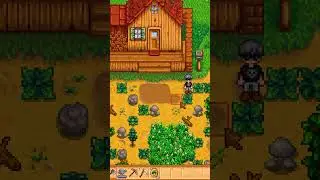 Садим пастернак в Stardew Valley #shorts