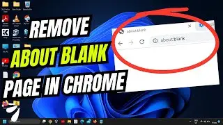 How to Remove About Blank Page On the Startup of Chrome Browser on Windows | 2024 Guide