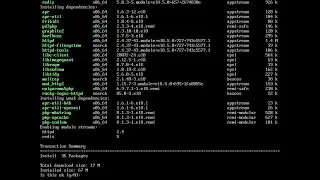 How To Install Nginx, PHP-FPM & MariaDB on Rocky Linux 8.5