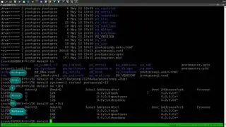 Установка ZABBIX 5.0 LTS [ PostgreSQL & NGINX ] в Oracle Linux 8 Update 2