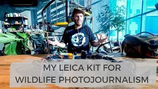 My Photography Gear as a Wildlife Photojournalist