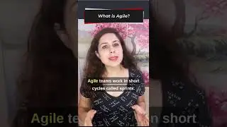 What is Agile? Explained in 1 Minute !! 