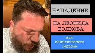 Леонид Волков о нападении на него: 