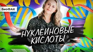 Нуклеиновые кислоты | ЕГЭ по биологии | БиоФАК