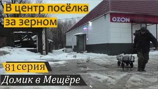 Сказ про курочек, оттепель и сельский шопинг. Домик в Мещёре, серия 81