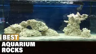Top 10 Best Rocks for Aquarium On Amazon