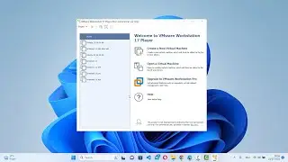 How to Install VMware Workstation Player in Windows 11