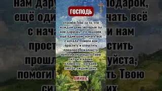 Если Бог много раз защищал вас и вашу семью, пожалуйста, напишите «Аминь».