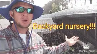 Free Plants!!! | How to start a backyard nursery and grow plants for free