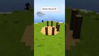 Tutorial Easy Starter House #shorts #minecraft