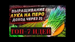 ТОП 7 БИЗНЕС ИДЕЙ ДЛЯ ПОДВАЛА,ПОГРЕБА,ПОДПОЛА,ЦОКОЛЬНОГО ЭТАЖА,МИНИ ВЛОЖЕНИЯ