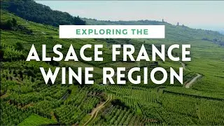 ALSACE FRANCE WINE REGION OVERVIEW - Plus Pinot Gris Review