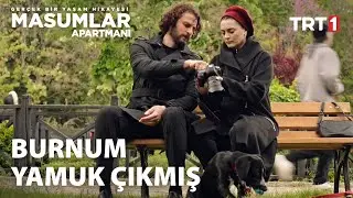 Han ve Ceylan, fotograflara baktı! - Masumlar Apartmanı 69.Bölüm