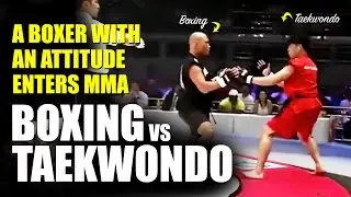 Boxing vs Taekwondo TKD ✓ MMA Superfight