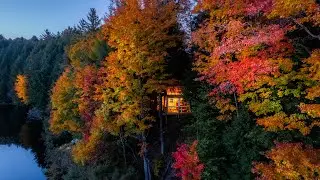 Autumn in the Adirondacks  🍂  Fall foliage Hunting from Glass Treehouse