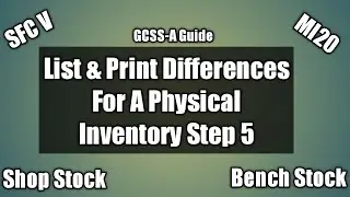 List & Print Differences (MI20) For A Physical Inventory (Step 5)