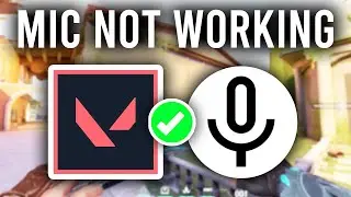 How To Fix Valorant Voice Chat Not Working - Full Guide