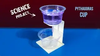 How to make Pythagoras Cup | DIY Siphon Effect | Science Project