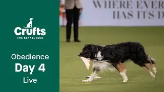 Obedience Day 4 LIVE | Dog Obedience Championship | Crufts 2023