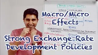 Micro/Macro Effects - Strong Exchange Rate, Development Policies (AQA/Edexcel)