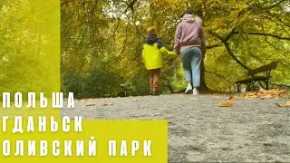 Переезд в Польшу. Гданьск. Оливский парк