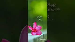 Ennum Ninne poojikkan WhatsApp status