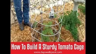 Learn To Build A Sturdy Tomato Cage From A Cattle Panel