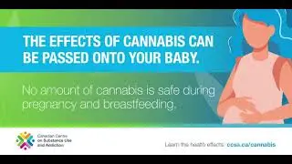 Thinking of using cannabis while pregnant or breastfeeding?