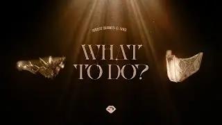 Serhat Durmus & NOES - What To Do? (Official Visualizer)