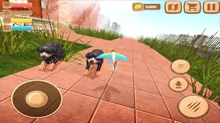 🦜Home Pet Parrot Simulator