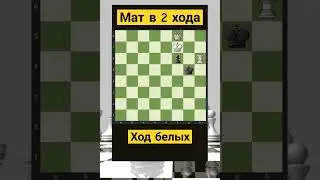 Мат в 2 хода, ход белых #шахматы #chess #chorts