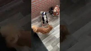 Не друг ты мне!