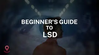 Beginner's Guide to LSD