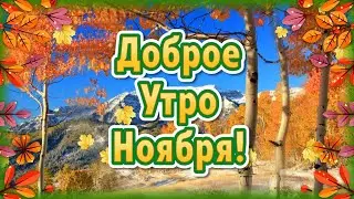 Доброе Утро Ноября🍁 Пожелание Доброго Утра🌞 С Добрым Утром