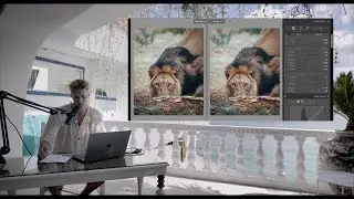 Lightroom Photo Editing Tutorial Wildlife Edit & Color Grading