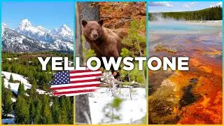 YELLOWSTONE, Grand Teton & Glacier - USA ROAD TRIP to the National Parks