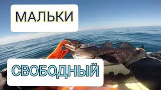 Морская рыбалка с лодки.