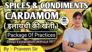 Spices & Condiments|| Cardamom || इलायची की खेती || ICAR- JRF || By :- Praveen Sir