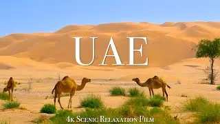 United Arab Emirates 4K - Scenic Relaxation With Calming Music