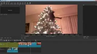 How to Join 2 Video Clips together in the Shotcut Video Editor