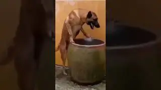 Челябинск жара