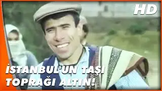 Sarı Öküz Parası | Bilo, Para Kazanmak İçin İstanbul'a Geliyor | Türk Komedi Filmi