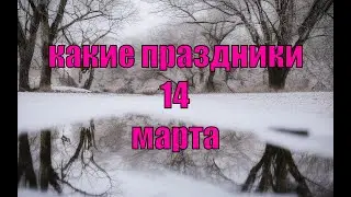 какой сегодня праздник? \ 14 марта \ праздник каждый день \ праздник к нам приходит \ есть повод