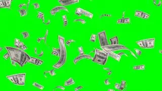 Money Falling Green Screen Video without Sound